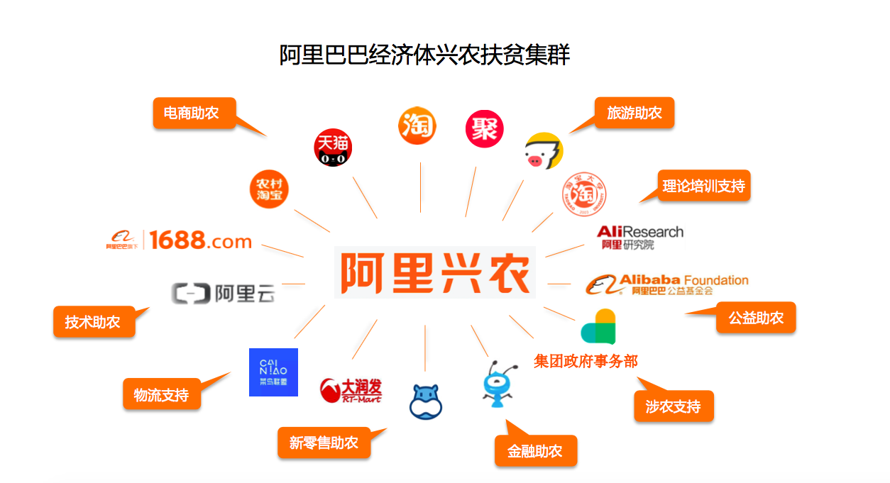 從常年滯銷到暢銷11國，農業合作社借阿里跨境電商平臺年入千萬