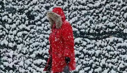 暴擊！美國暴風雪致紐約碼頭停擺、亞馬遜倉庫關閉