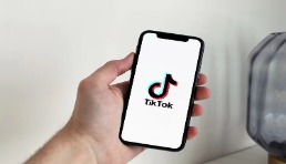 wayfair裝修熱潮火到Tik Tok！家具選品靈感又有了